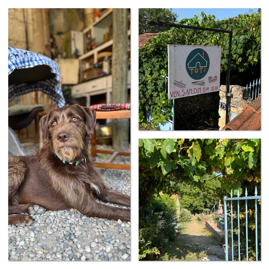 Café à Issac : Un Refuge de Fraîcheur en Dordogne